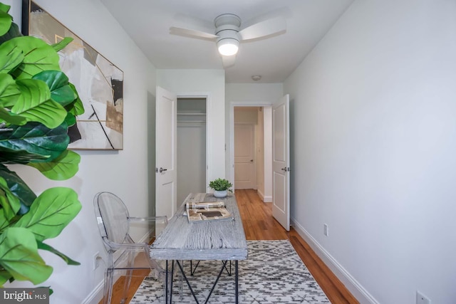 hallway featuring hardwood / wood-style flooring