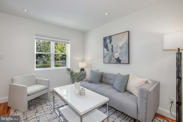 living room with light wood-type flooring