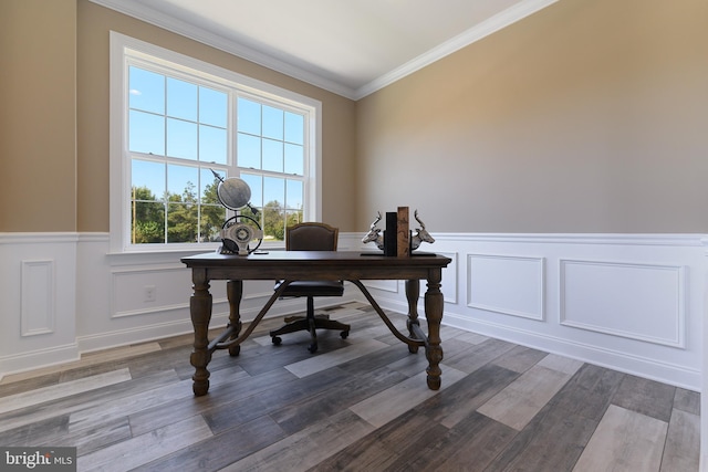 office featuring ornamental molding, wainscoting, and dark wood-type flooring