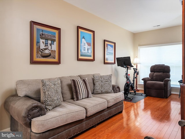 living room with hardwood / wood-style flooring