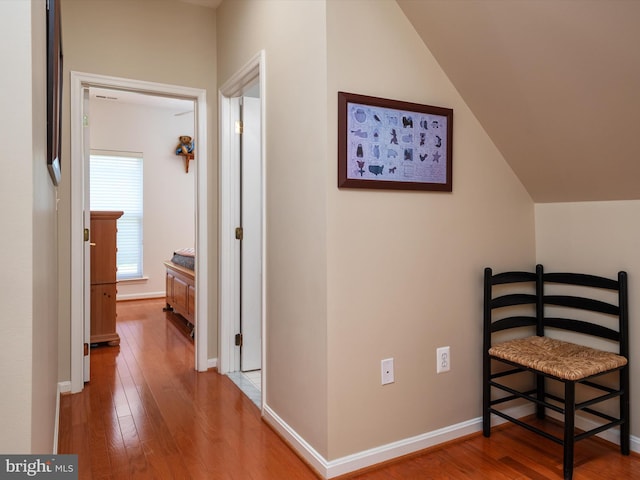 hallway featuring wood-type flooring