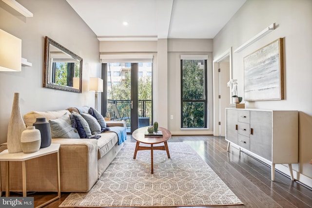 living room with dark wood-type flooring