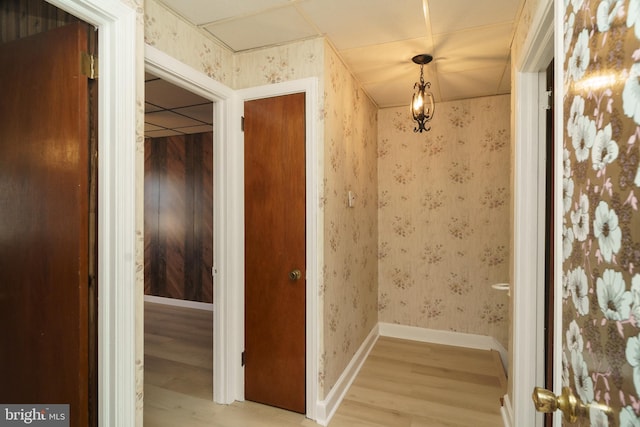 corridor featuring light hardwood / wood-style flooring