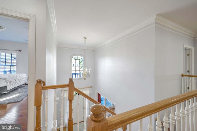 corridor featuring hardwood / wood-style floors, a notable chandelier, and ornamental molding