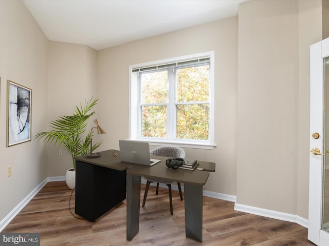 office space featuring wood-type flooring