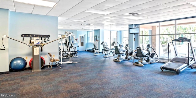 gym with expansive windows, a drop ceiling, and dark colored carpet