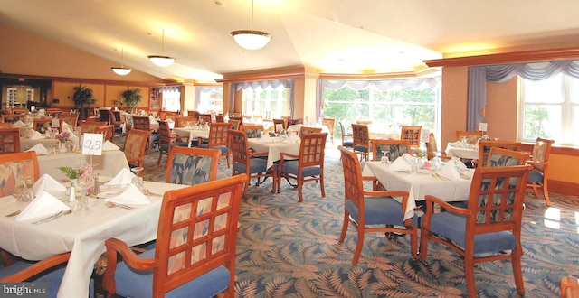 carpeted dining room with lofted ceiling and a healthy amount of sunlight