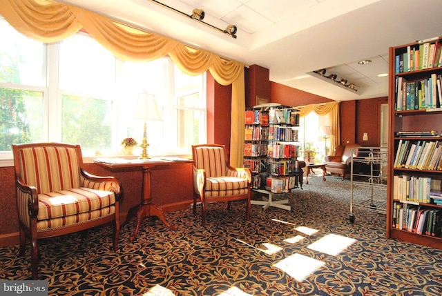 living area with plenty of natural light and carpet floors