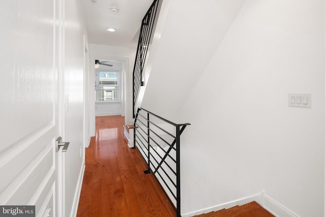 hallway with dark hardwood / wood-style flooring