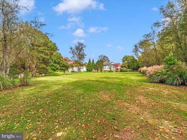 view of yard