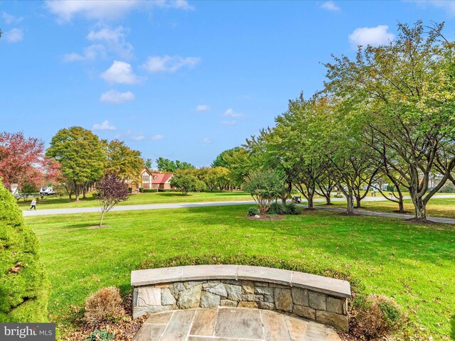 view of home's community featuring a yard