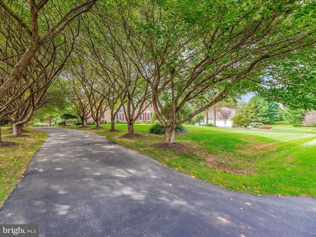 exterior space featuring a yard