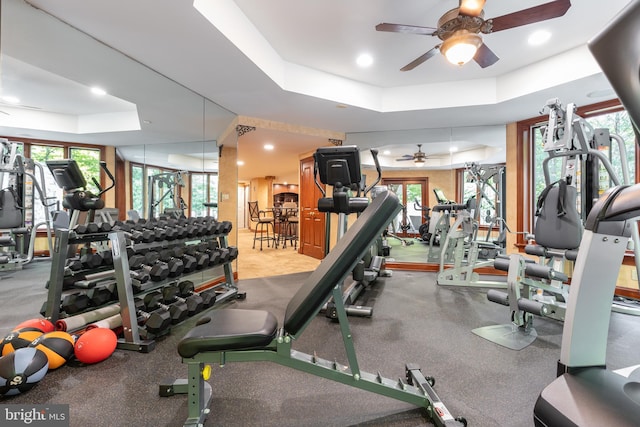 workout area with ceiling fan, a tray ceiling, and a wealth of natural light