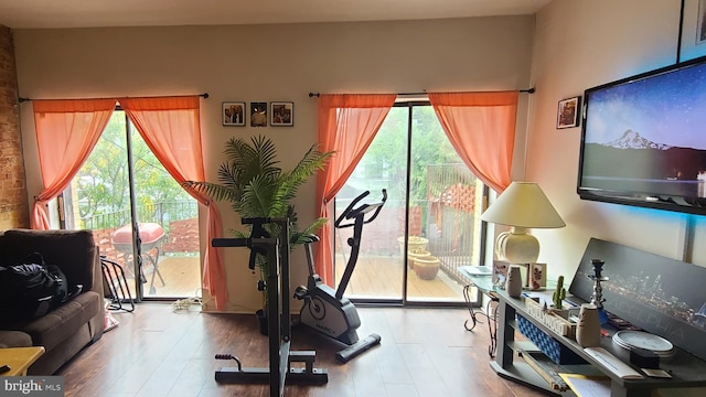 workout room with wood-type flooring