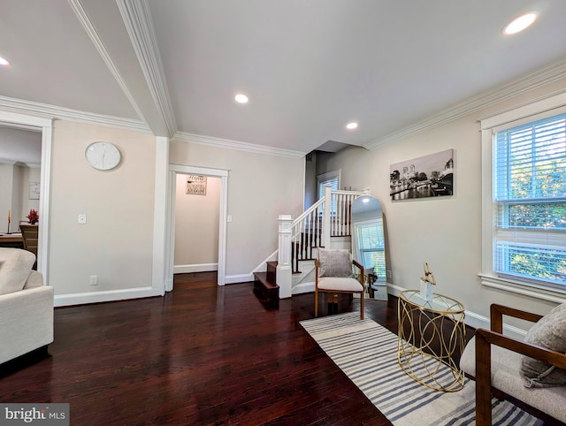 sitting room featuring dark hardwood / wood-style floors and ornamental molding