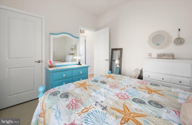 36865 Herring Way, Selbyville, DE 19975 - view of bedroom
