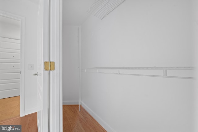 spacious closet featuring light wood-type flooring