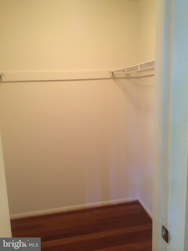 walk in closet featuring hardwood / wood-style flooring