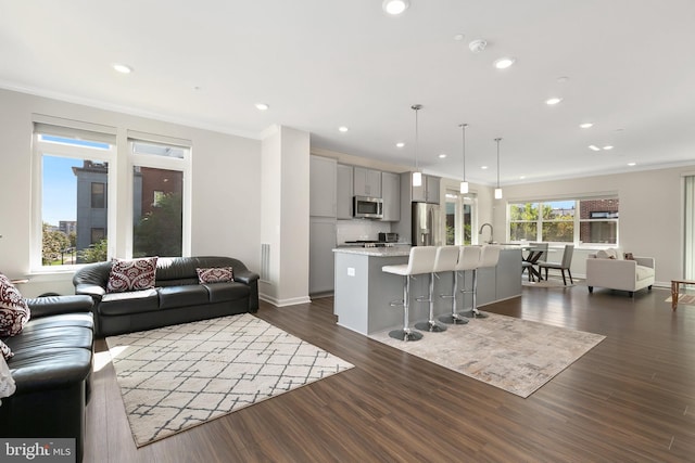 living room with ornamental molding and dark hardwood / wood-style floors