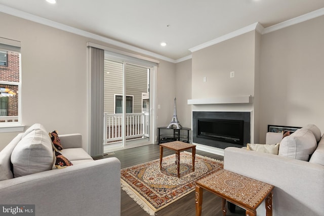 living room featuring crown molding and dark hardwood / wood-style flooring