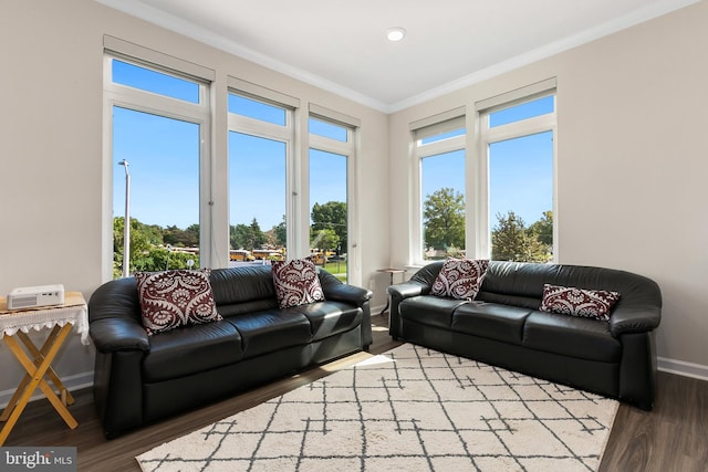 living room featuring ornamental molding and hardwood / wood-style flooring