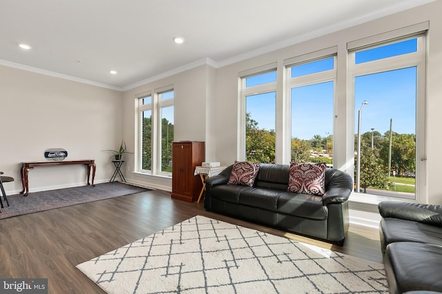 living room featuring dark wood-type flooring and crown molding