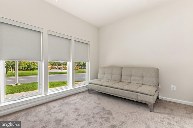 unfurnished room featuring carpet floors