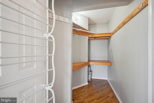 walk in closet with dark wood-type flooring