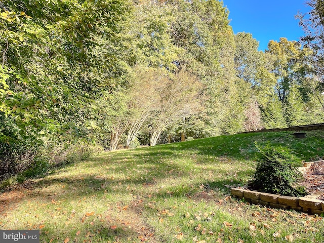 view of landscape