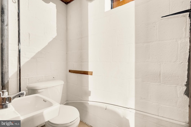 bathroom with sink and toilet