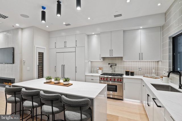 kitchen featuring tasteful backsplash, high end appliances, sink, white cabinetry, and light hardwood / wood-style flooring