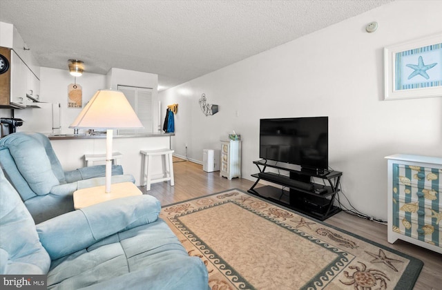 living room with a textured ceiling and hardwood / wood-style flooring