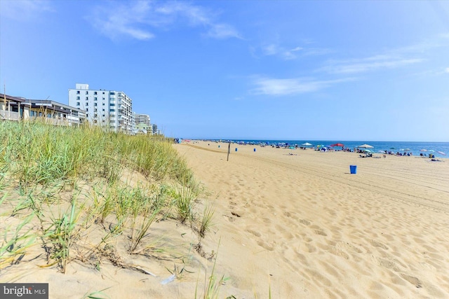 water view featuring a beach view