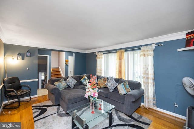 living room featuring hardwood / wood-style flooring and crown molding