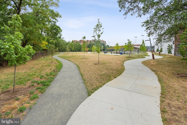 view of community with a lawn