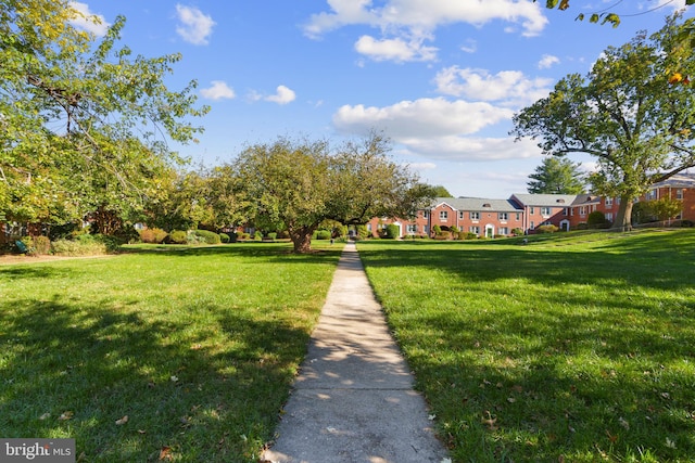 surrounding community featuring a yard