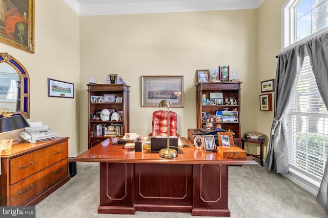 office space featuring light carpet, crown molding, and a wealth of natural light