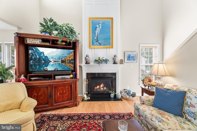 living room with hardwood / wood-style flooring