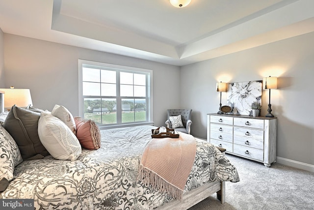 carpeted bedroom featuring a raised ceiling