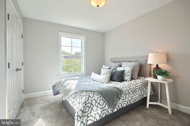 565 Bella May Cir, Lebanon, PA 17046 - bedroom featuring baseboards and carpet flooring