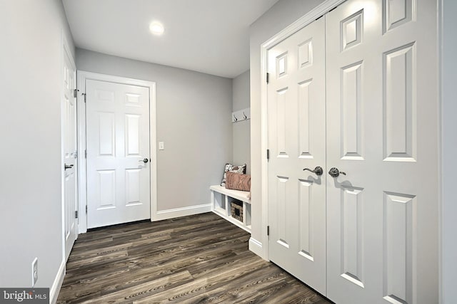 mudroom featuring dark wood-type flooring