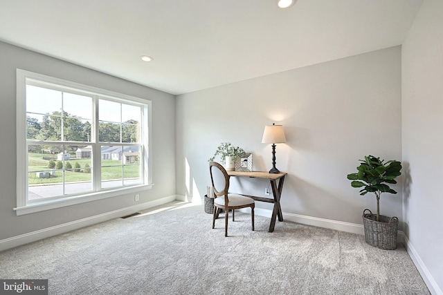 home office featuring carpet flooring