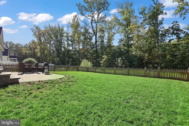 view of yard with a patio