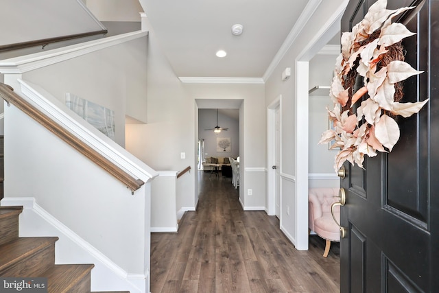 entryway with dark wood-type flooring, ceiling fan, and ornamental molding