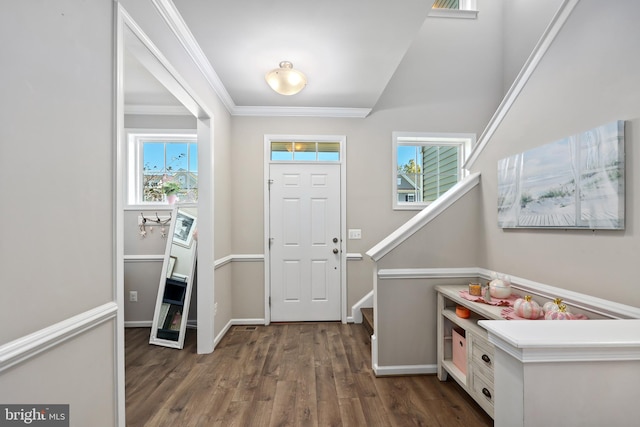 foyer featuring crown molding and dark hardwood / wood-style flooring