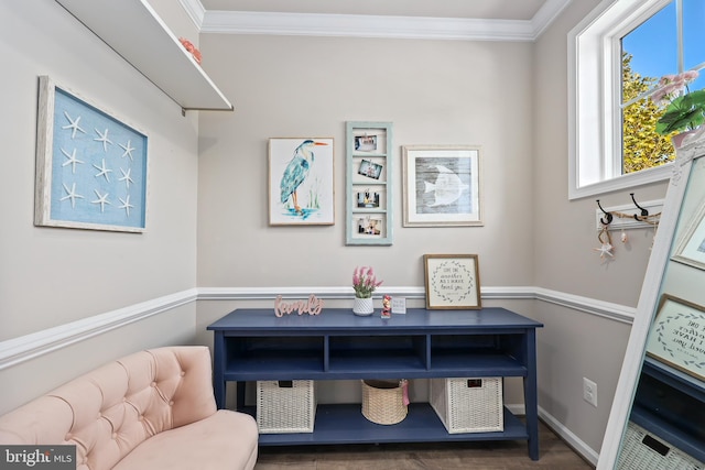 living area featuring crown molding