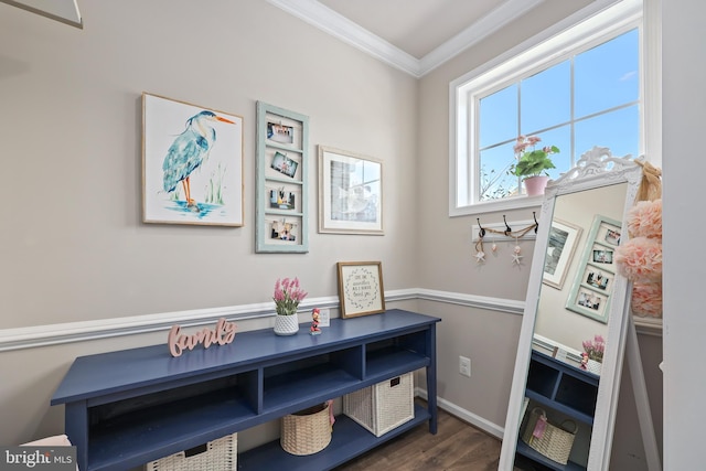 interior space with crown molding and wood-type flooring