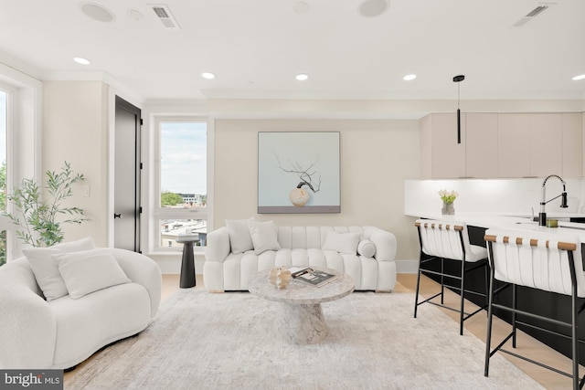 living room featuring ornamental molding, light hardwood / wood-style flooring, and sink