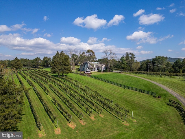 view of yard with a rural view