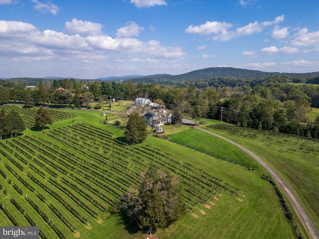 bird's eye view featuring a rural view and a mountain view